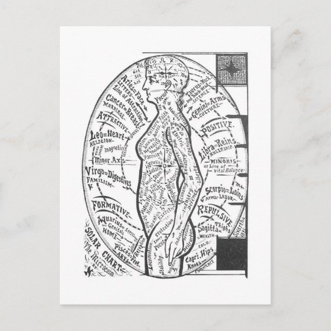 "Solar Chart: The Microcosm" Zodiac Astrology Postcard (Front)