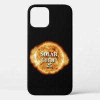 Solar Cycle 25 Active Sun