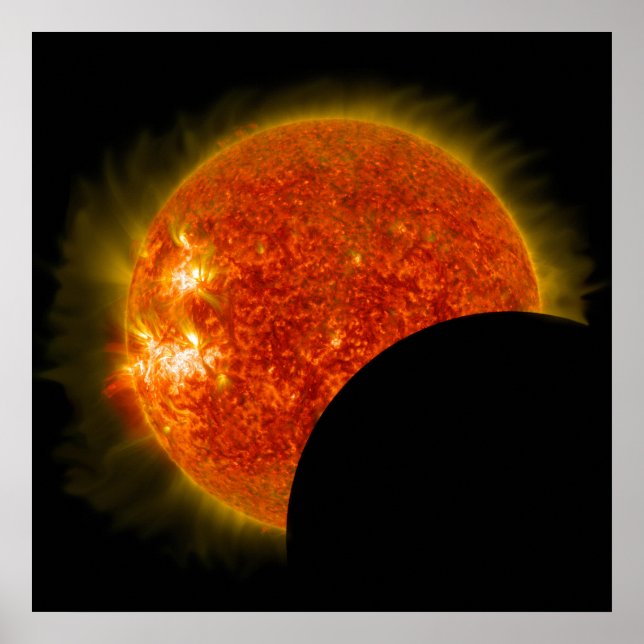 Solar Eclipse in Progress Poster (Front)
