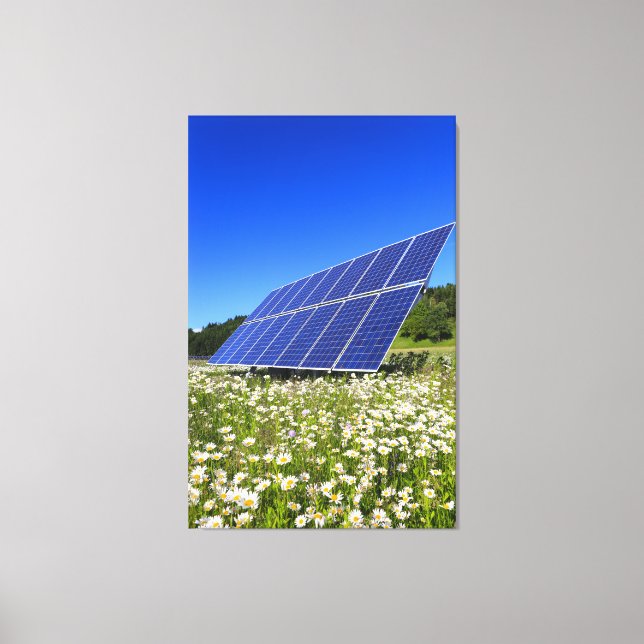 Solar Panels and green meadow Canvas Print (Front)