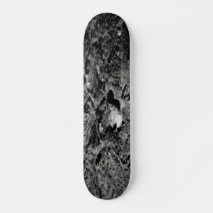 Solar System Voyager Images Lunar Surface Skateboard