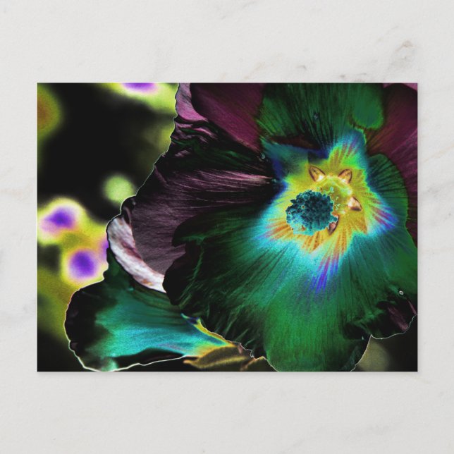 Solarized Hibiscus Photography -Postcard Postcard (Front)