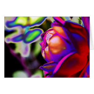 Solarized Rose by Shirley Taylor