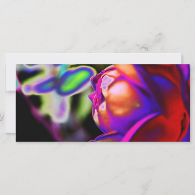 Solarized Rose by Shirley Taylor (Front)