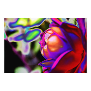 Solarized Rose by Shirley Taylor Photo Print