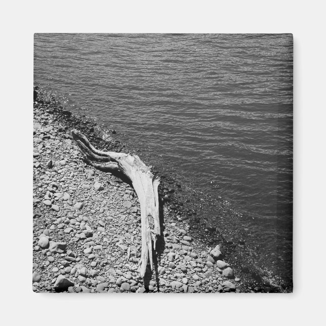 Solde naturel - Aimant à vie fixe en bois de chauf (Devant)