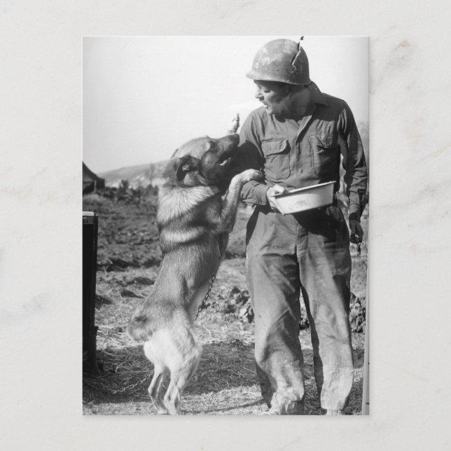 Soldier and His German Shepherd WWII Postcard (Front)