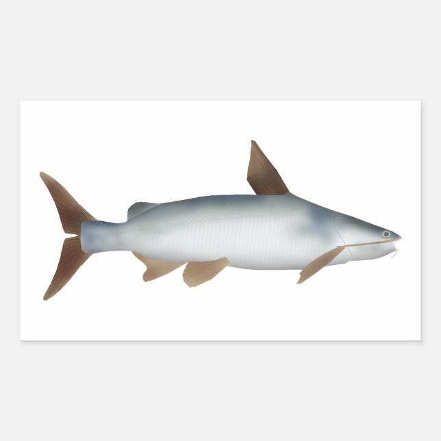 Soldier Catfish Sticker (Front)