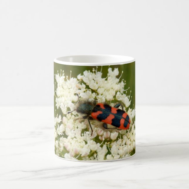 Soldier or Chequered Beetle Bug Mug (Center)