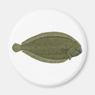 Sole Magnet