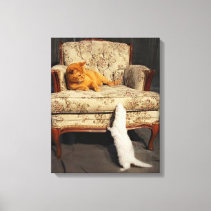 Soleil and the Ferret  - Stretched Canvas Print