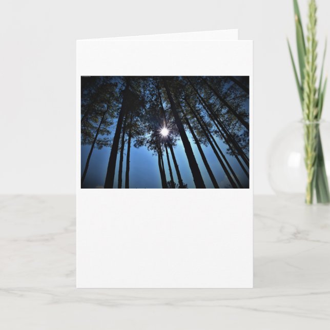 Soleil, carte (Devant)