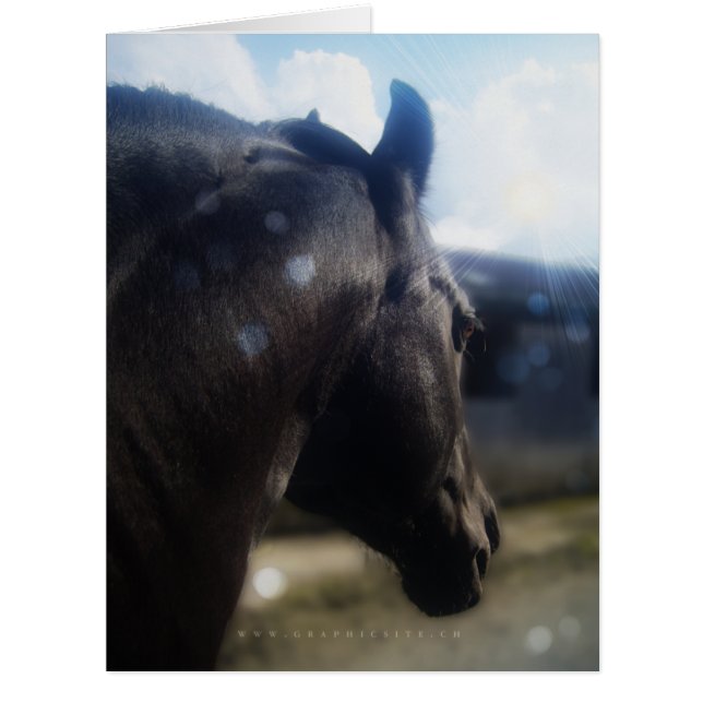 Soleil - Carte de voeux (Devant)