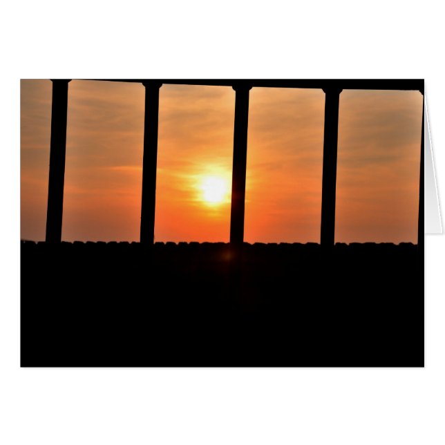 Soleil de prisonnier (Devant horizontal)