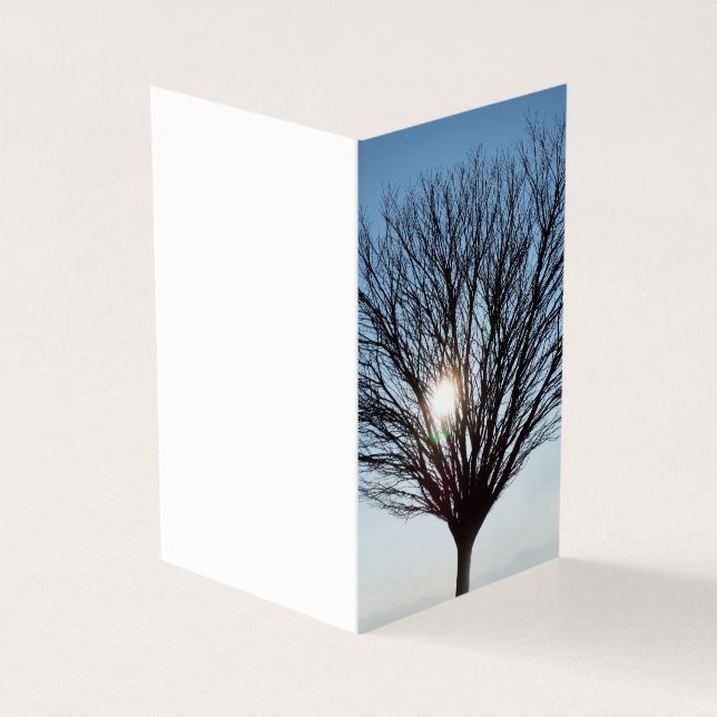 soleil d'hiver (Outside)