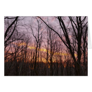 Soleil d'hiver II