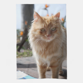 soleil kitchen towel