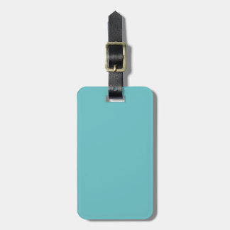 Solid Aqua Blue Pop of Colour Luggage Tag