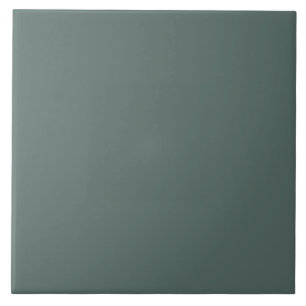 Solid Color Cool Neutral Green Undertone 2026 COTY Tile