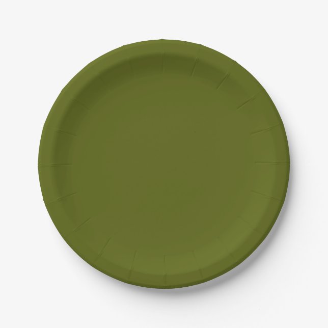 Solid color dark paper plate (Front)