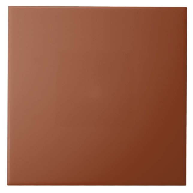 Solid Color_Terra Cotta Tile (Front)