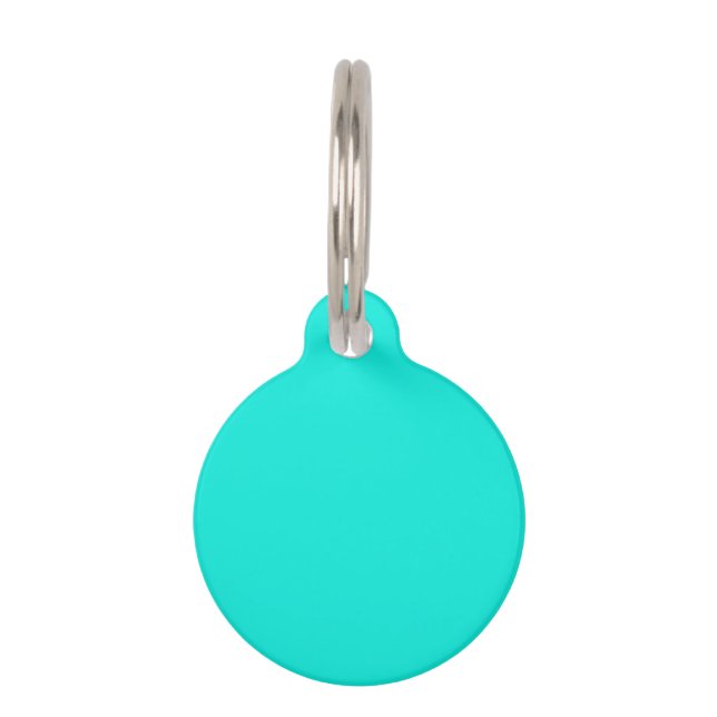 Solid Colour: Bright Aqua Pet Tag (Front)
