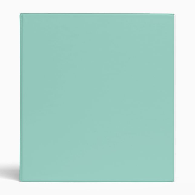 Solid Colour Mint Binder (Front)