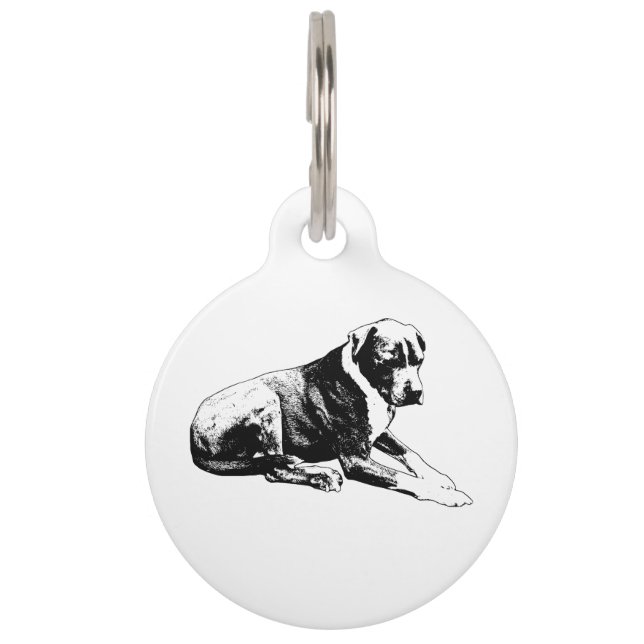 Solid Lean, Safe Tag (Front)