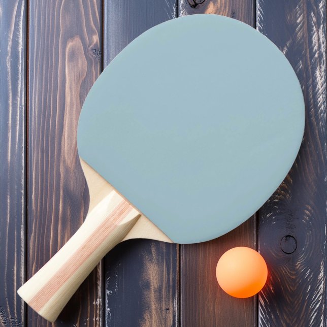 Solid Light Sky Colour Ping Pong Paddle (Creator Uploaded)