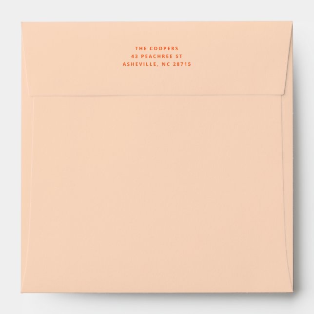 Solid Pastel Peach Envelope (Back (Top Flap))