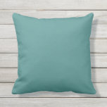 Solid Peacock Teal Outdoor Pillow<br><div class="desc">Solid colour pillow Teal. For those that what to DIY: Great custom Template For Throw Pillow. Customized Pillows. Personalize with your own name, pattern, design, quote, monogram, or photograph. Use our cool templates, artwork, photos, graphics, and illustrations, then add names, text, quotes, and monograms to create your own throw pillow....</div>