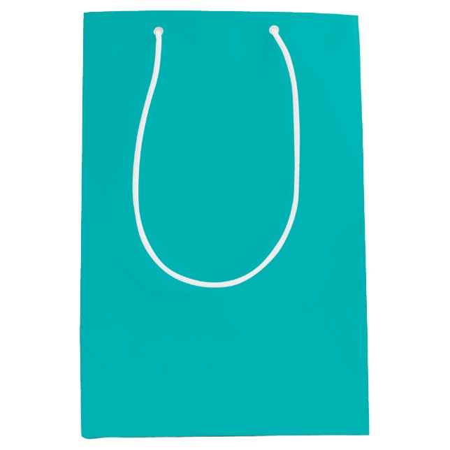 Solid robins egg blue turquoise light sea green medium gift bag (Front)