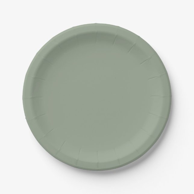 Solid Soft Sage Green Baby Shower Paper Plate (Front)