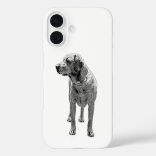 Solid Stance, Everyday Armour iPhone 16 Case