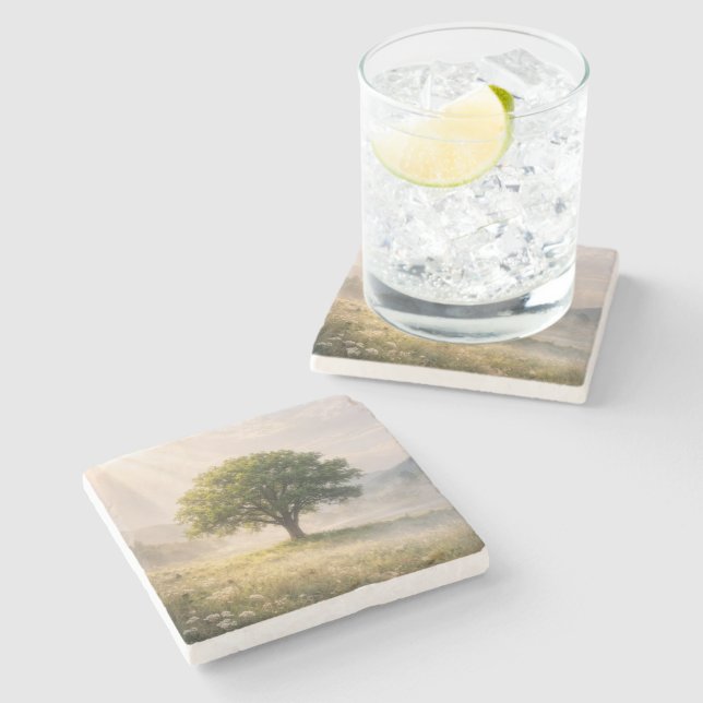 Solitary Green Tree with Sunbeams Stone Coaster (Side)
