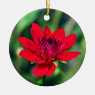 Solitary Red Dahlia Flower Wisley Motivational Ceramic Ornament