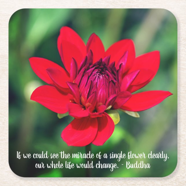 Solitary Red Dahlia Flower Wisley Motivational Square Paper Coaster (Front)