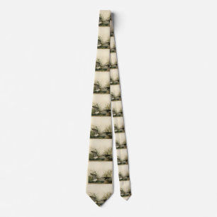 Solitary Sandpiper from Audubon's Birds of America Tie