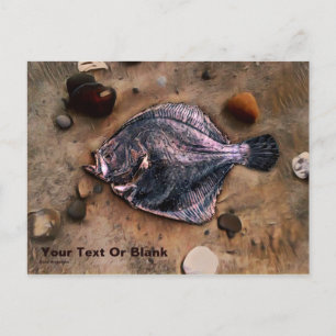 Solitary Sole Postcard