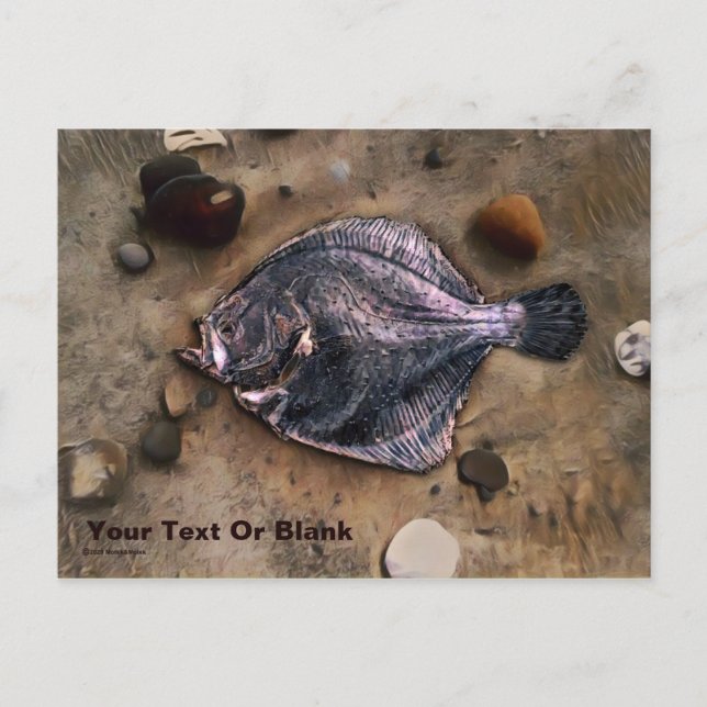 Solitary Sole Postcard (Front)