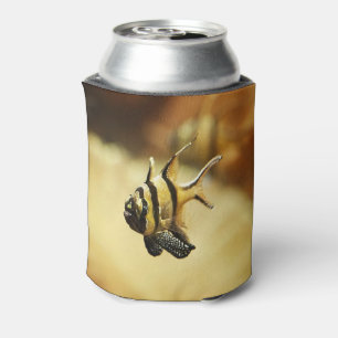 Solitary Stripy Angelfish Can Cooler