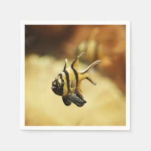 Solitary Stripy Angelfish Napkin