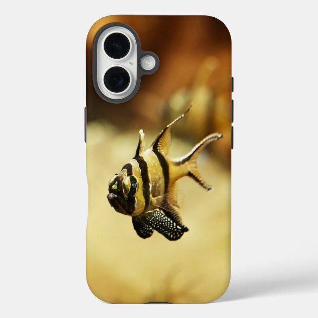 Solitary Stripy Angelfish Underwater Case-Mate iPhone Case (Back)
