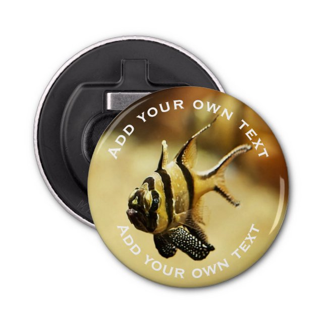 Solitary Stripy Angelfish Underwater Custom Text Bottle Opener (Front)