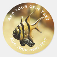 Solitary Stripy Angelfish Underwater Custom Text