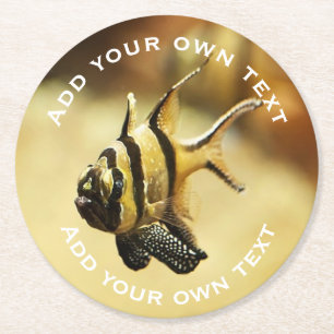 Solitary Stripy Angelfish Underwater Custom Text Round Paper Coaster