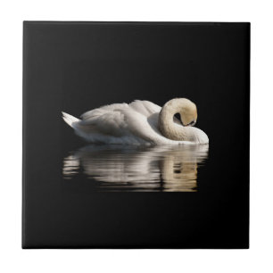 Solitary Swan Tile