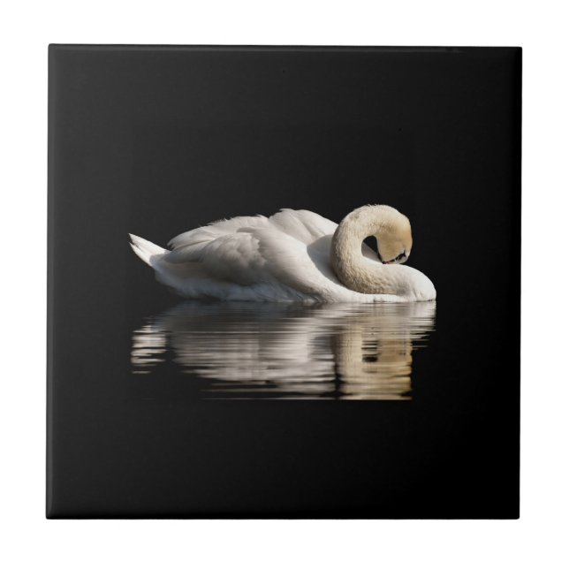 Solitary Swan Tile (Front)