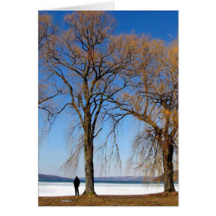 Solitude