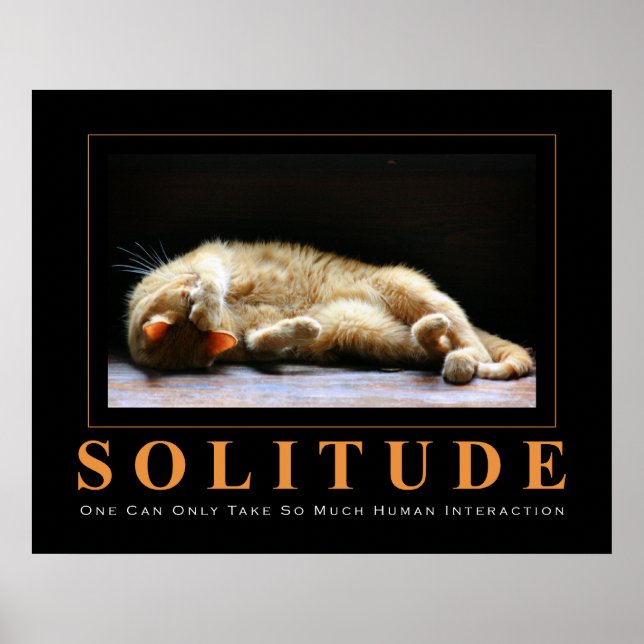 SOLITUDE Cat Photography Anti-Motivational Poster (Front)